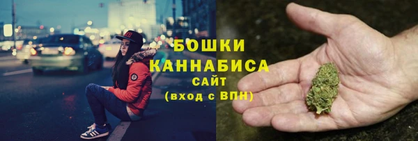 твердый Бородино