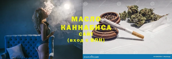 твердый Бородино