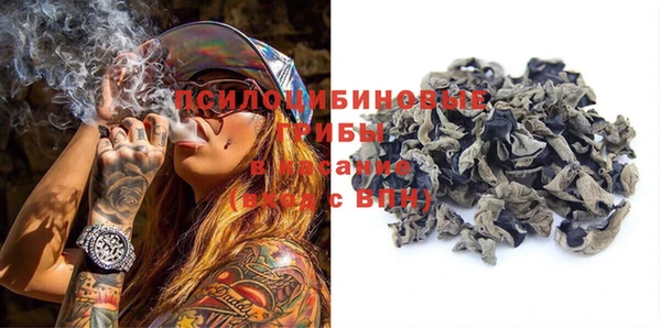 твердый Бородино