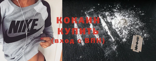 гашик Вяземский