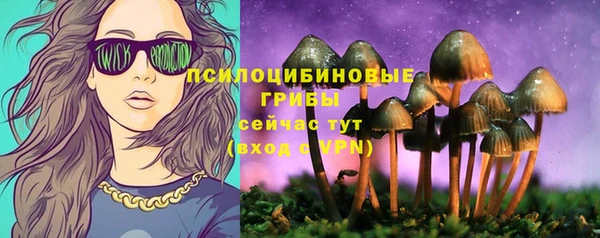 прущая мука Бронницы