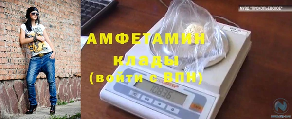 шишки Бугульма