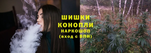 шишки Бугульма